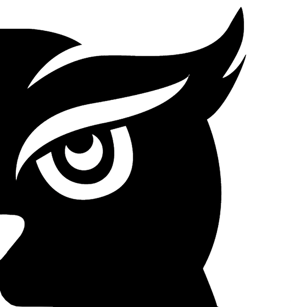 Night Owl