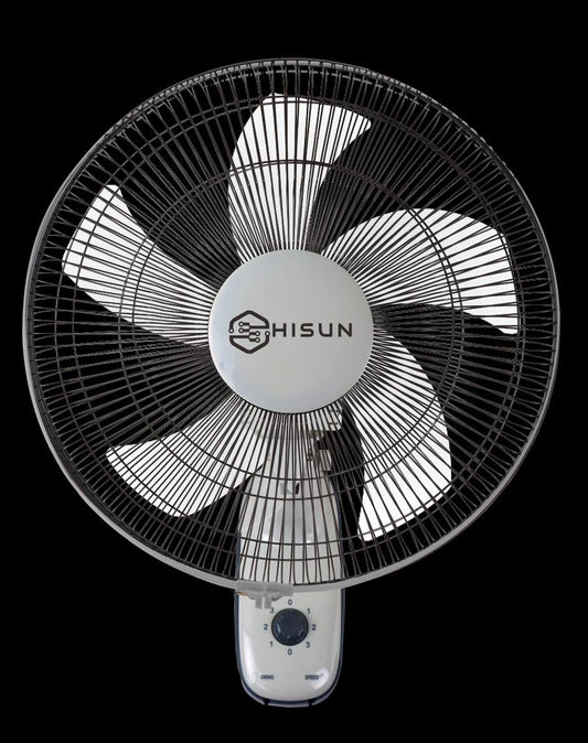 Hisun 12" Wall Fan - FB35019